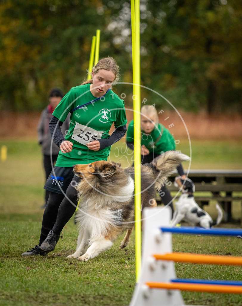 Pfotenfotografie_DV3A0361 | Hundefotografie, Tierfotograf, Pfotenfotografie, Fotoshooting Hund, Hunde Portrait, Hundesport, Hundeportraits, Heideshooting, Hunde, Sportfotograf, Hundefotograf, Turnierhundsport, THS,  - Realisiert mit Pictrs.com