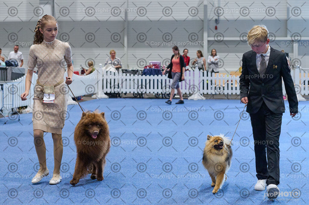 202406_ÖKV-IHA-Tulln24_DSC_4734 | proPHOTO - Realisiert mit Pictrs.com