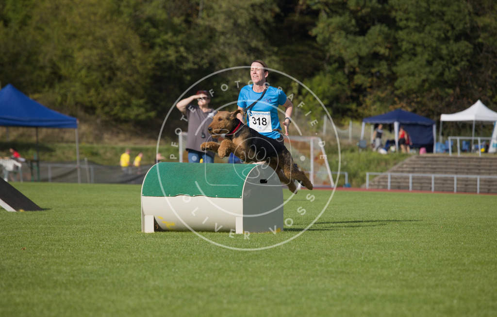0L8A3877 | Hundefotografie, Tierfotograf, Pfotenfotografie, Fotoshooting Hund, Hunde Portrait, Hundesport, Hundeportraits, Heideshooting, Hunde, Sportfotograf, Hundefotograf, Turnierhundsport, THS,  - Realisiert mit Pictrs.com