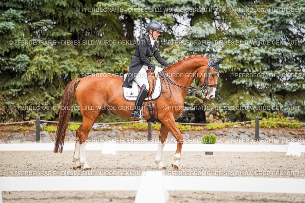 DSC06538 | Pferdegrafie