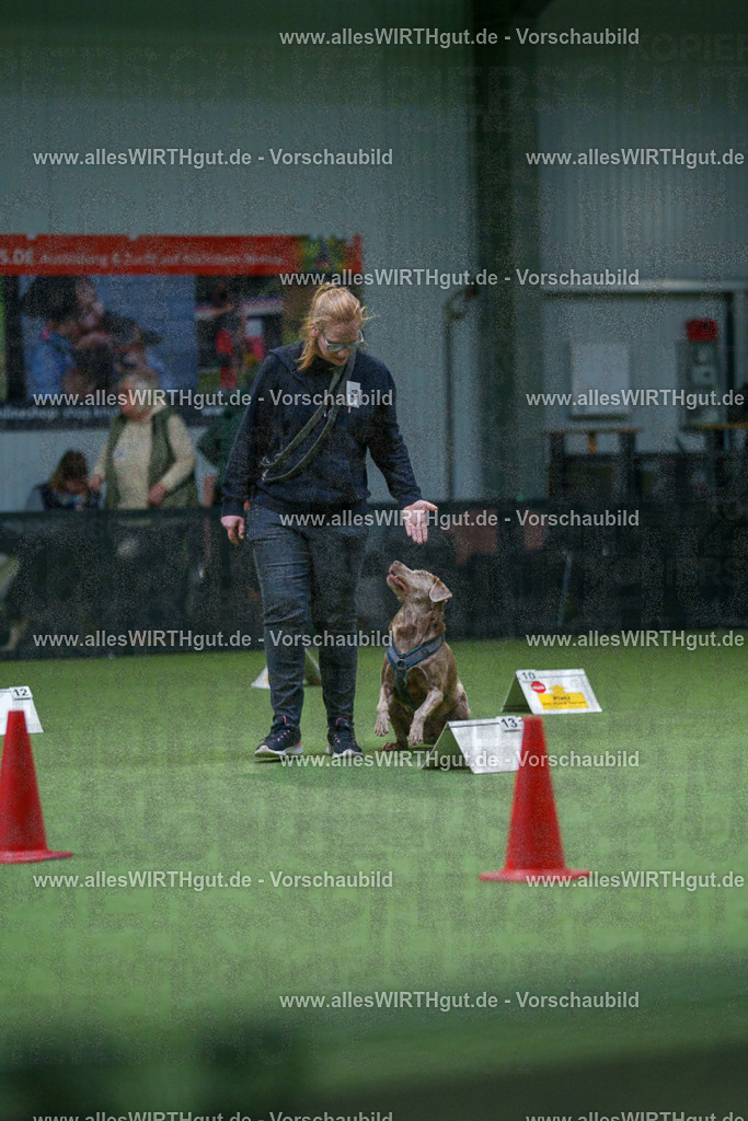 7R501315 | Professionelle Tierfotografie in Mönchengladbach von Daniel Wirth (allesWIRTHgut). Liebevolle & natürliche Bilder von Hunden & Katzen für unvergessliche Erinnerungen.