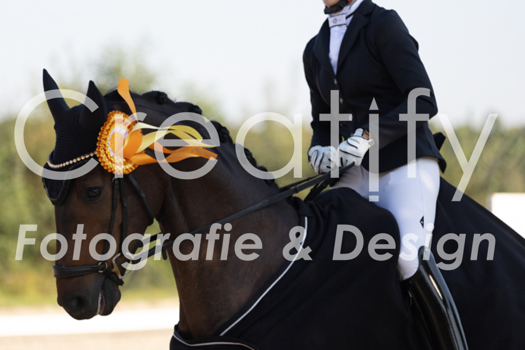 IMG_1212 | Creatify Fotografie