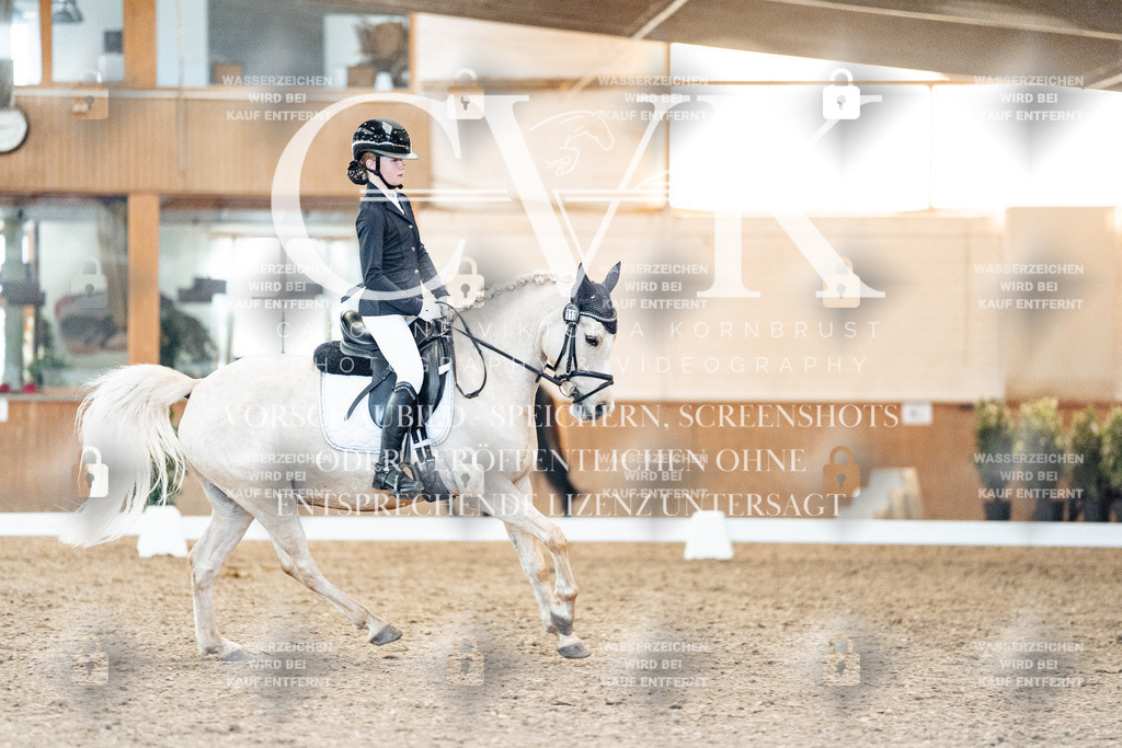 CK907528 | Turnierfotografie Pferdefotografie Trier Rheinland-Pfalz Pferdesport Reitsport Tierfotografie Sportfotografie Pferdevideo Pferdevideografie Equestrianvideography equestrianphotography  - Realisiert mit Pictrs.com