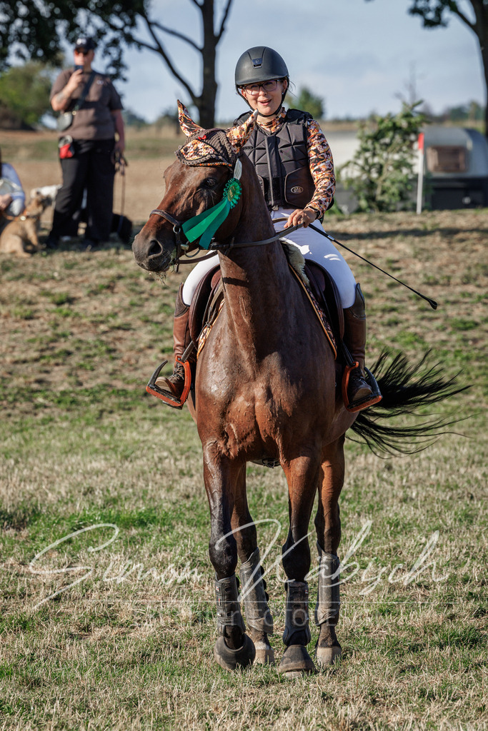 20260905-_3LI1027 | Tierfotografie Pferde, Hunde, Katzen, Haustiere.
Turnierfotografie Reitturniere, Reiten, Springreiten, Dressur in Hanau, dem Main-Kinzig-Kreis und dem Rhein-Main- Gebiet um Frankfurt
