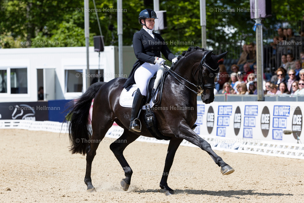 TH_655-TIMPE Andrea (GER)_ Don Carismo_7686 | Deutsches Spring- und Dressur-Derby 2023 am 18.05.23 in Hamburg, Derby Platz Klein Flottbek, Thomas Hellmann, _Y7A3452