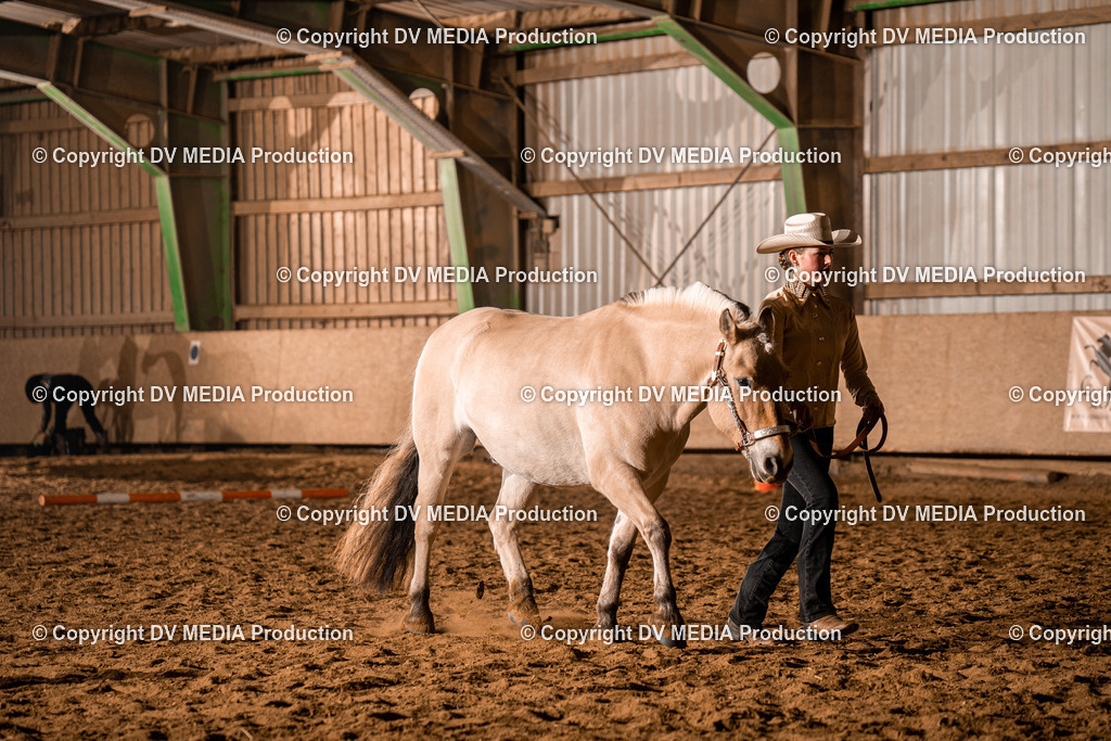 BAL01152 | dv-media-shop - Realisiert mit Pictrs.com