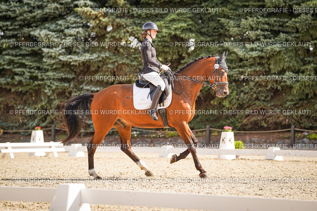 DSC00586 | Pferdegrafie