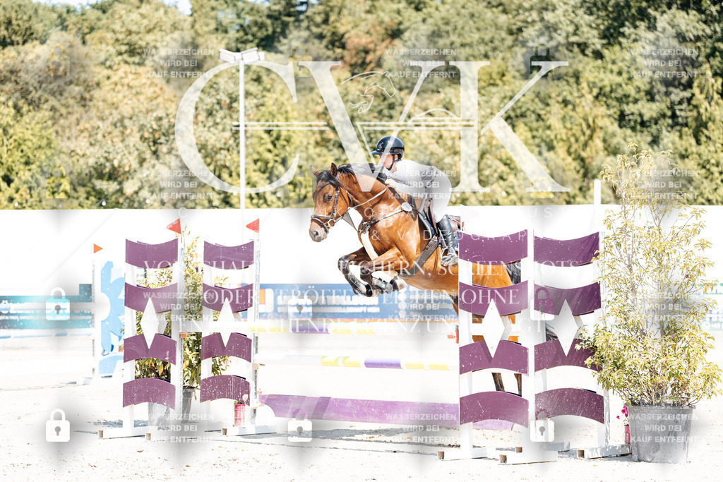 CK900254 | Turnierfotografie Pferdefotografie Trier Rheinland-Pfalz Pferdesport Reitsport Tierfotografie Sportfotografie Pferdevideo Pferdevideografie Equestrianvideography equestrianphotography  - Realisiert mit Pictrs.com