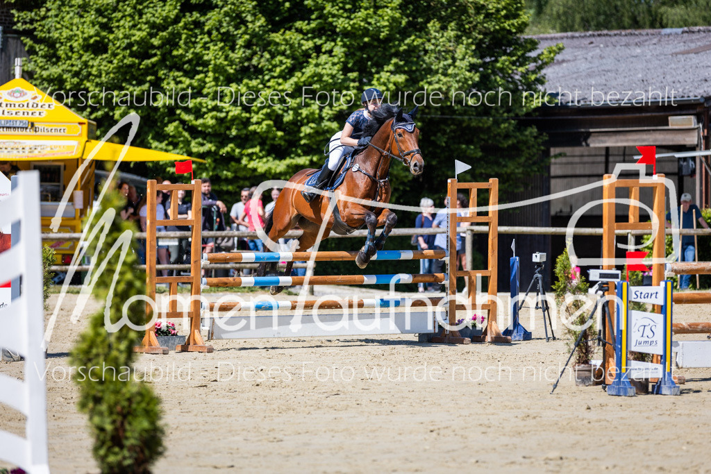 Donop24-ASprmstA-061 | MomenTaufnahmen Pferdesportfotos