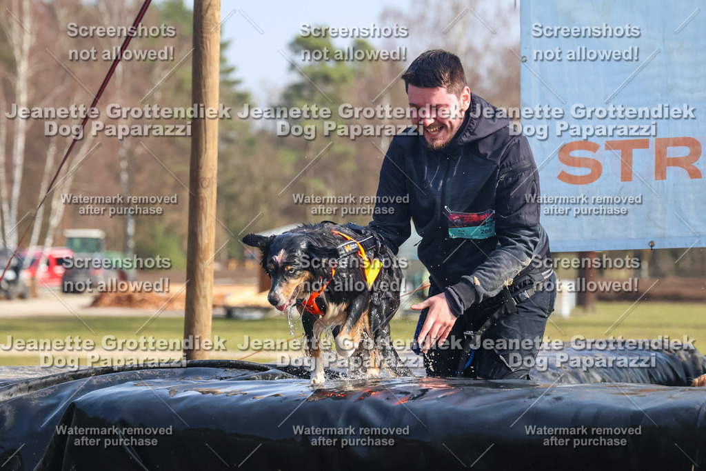 Dog Paparazzi - Strongdog North Mrz26-1818 | Dog Paparazzi Jeanette Grottendiek Fotografie & Videografie - Realisiert mit Pictrs.com