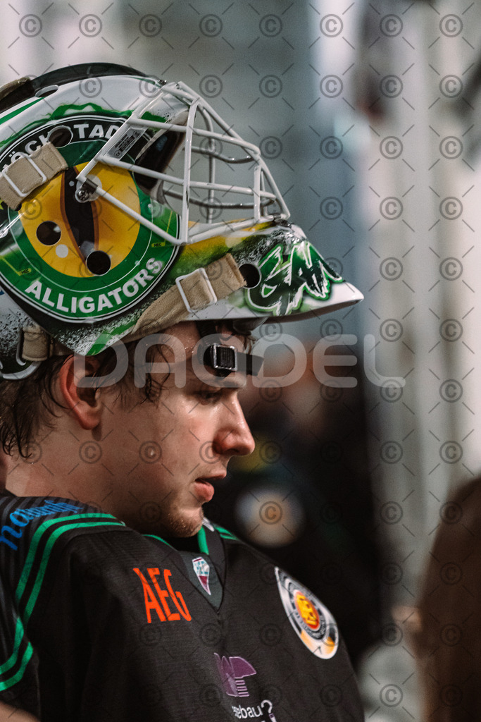 Alligators_vs_Erding_12_12_2025-145 | Höchstadt Alligators Fotogalerie: Eishockey-Action aus Franken. Professionelle Spielfotos, Portraits & Stadionbilder zum Download. Jetzt entdecken! - Realized with Pictrs.com