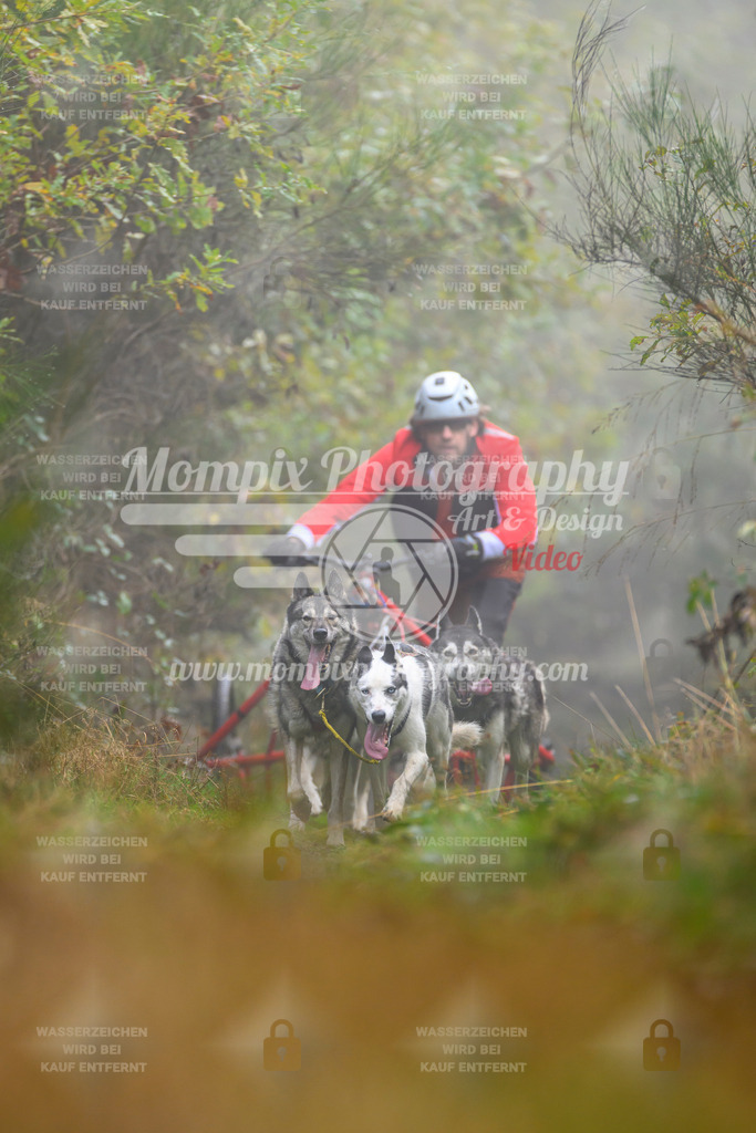 MompixPhotography_20TSB_E4_Kart-20 | PayLife