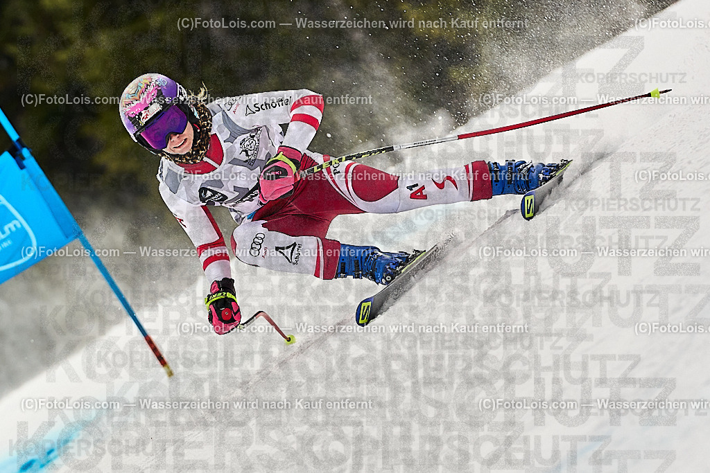 _WWO4619_MASTERS-WM_Reiteralm_CD-SG_Speringer Janine_SPERINGER Janine | FISWORLD CHAMPIONSHIPSMASTERS ALPINE SKIING, 23. – 28. MÄRZ 2026 - REITERALM | STMK | AUT.   Veranstaltet vom Masters-Referat des Deutschen Skiverbandes (DSV). Durchführende Organisation: WSV Pichl-Reiteralm, unterstütutzt von den Bergbahnen REITERALM bei Schladming und SKI AUSTRIA.                            Disziplinen:  Super-G, GiantSlalom, Slalom.                                                 Kategorien:  A (Herrn 30-59 Jahre), B (Herrn ab 60 Jahre), C (Damen 30-59 Jahre), D (Damen ab 60 Jahre).                Rennstrecken:   Gasselhöhe und Muldenliftpiste auf der Reiteralm.
