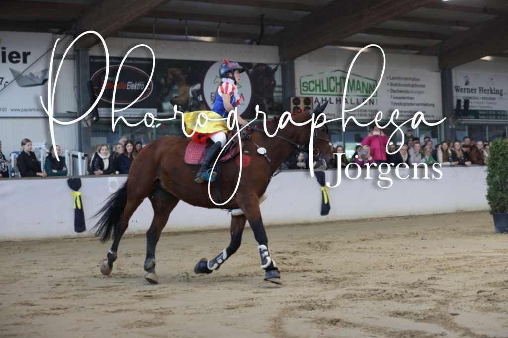 IMG_1751 | photographesa-joergens - Realisiert mit Pictrs.com