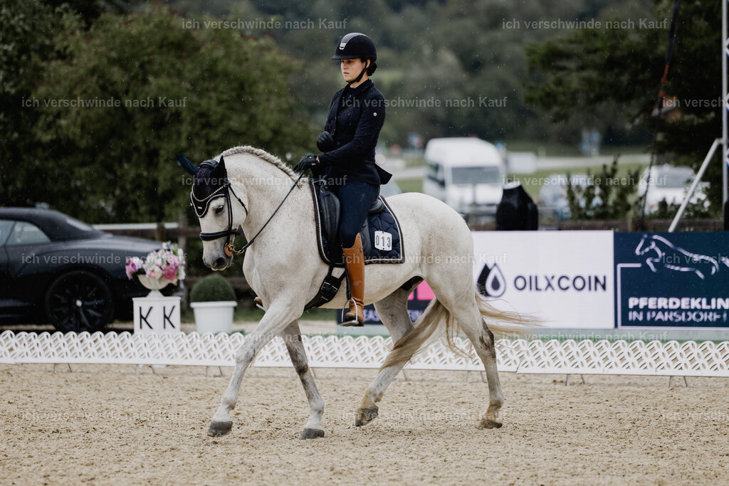 Svea13FHC2025-24606 | working equitationturnier fotograf videograf stoibphotography marixx film working equitation deutschland reitsport turnierfotografie eventfotografie equestrian events