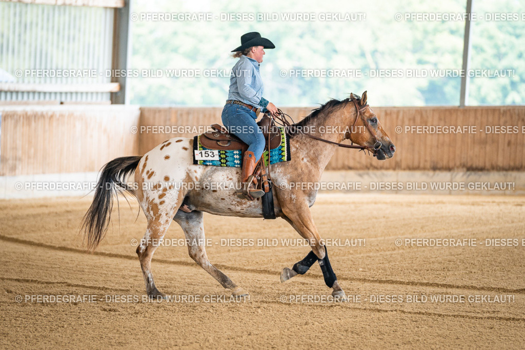 DSC03936 | Pferdegrafie