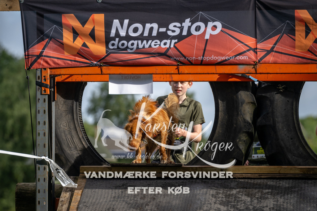 0930_ZZ90774 | kk-dogfotos