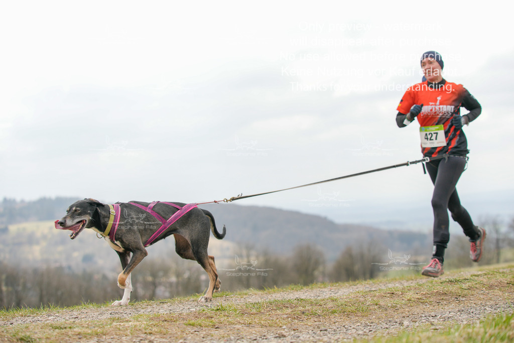 CaniXRunSA-171 | stephaniefillaphotographie - Realisiert mit Pictrs.com