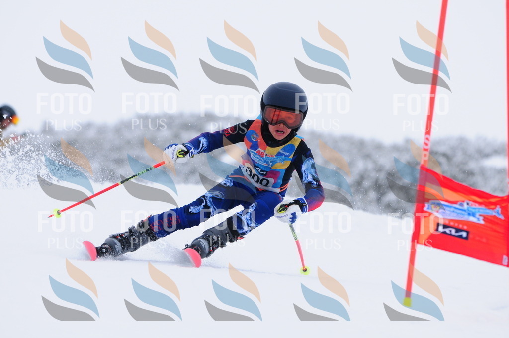 C3175 | holidayphoto