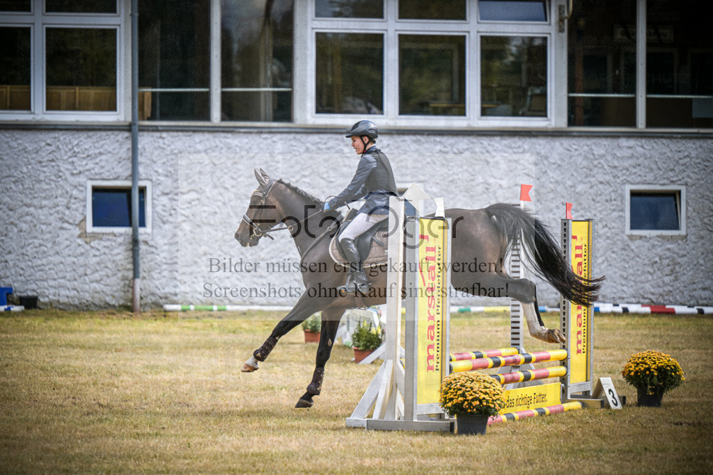 DOS_0749 | Entdecke hochwertige Reitturnierfotos von Foto Oger. Professionell, emotional und authentisch – jetzt Lieblingsmomente im Shop bestellen.Deutschlandweite Turnierfotografie. - Realisiert mit Pictrs.com