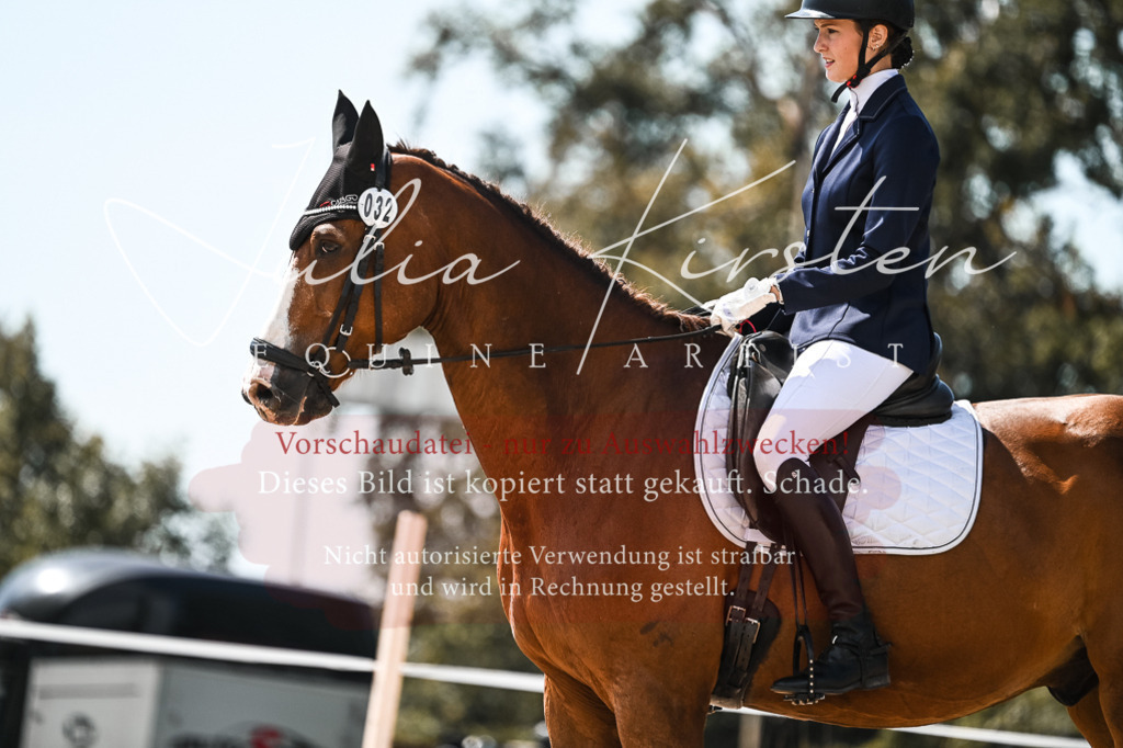 DSC_5521 | Pferde- und Turnierfotografie in Westsachsen. Pferdeportraits, Auftragszeichnungen und intuitive Kunst.