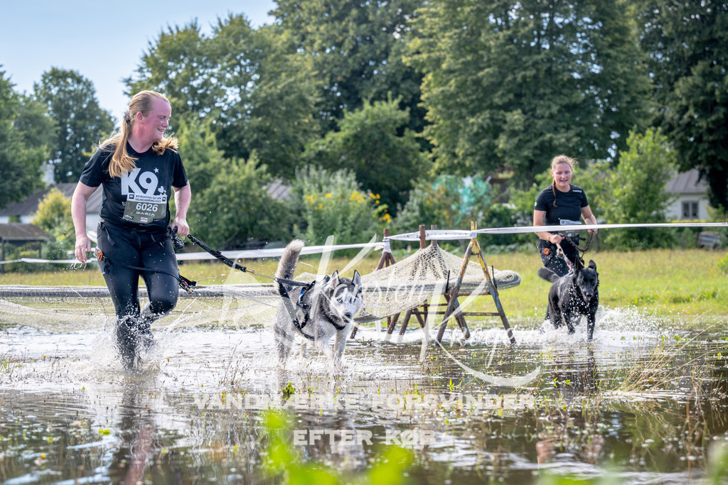 1221_ZZ93907 | kk-dogfotos