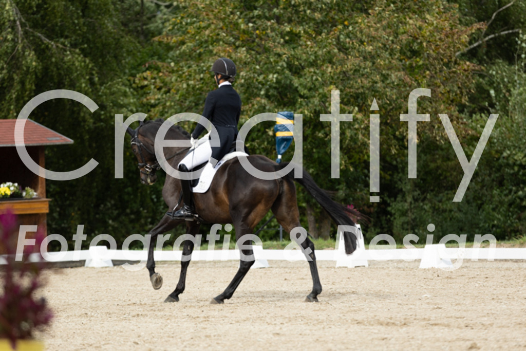 IMG_6710 | Creatify Fotografie