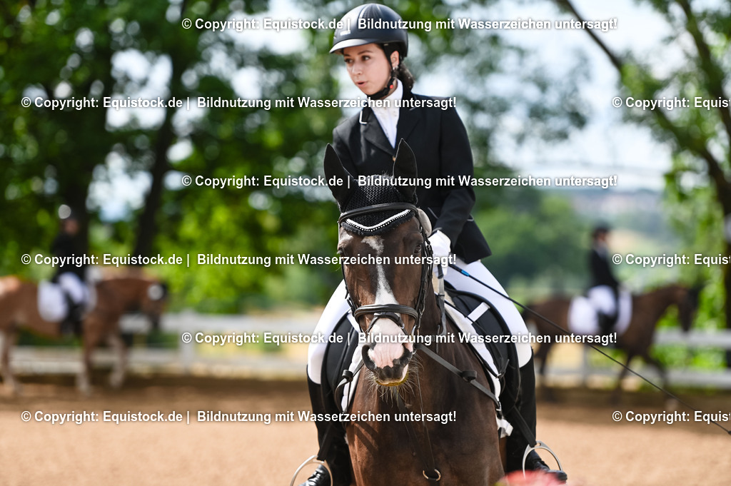 20230716_10-1_Reiter-WB Schritt - Trab - Galopp_0129 | equistock