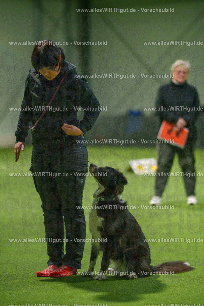 7R507344 | Professionelle Tierfotografie in Mönchengladbach von Daniel Wirth (allesWIRTHgut). Liebevolle & natürliche Bilder von Hunden & Katzen für unvergessliche Erinnerungen.