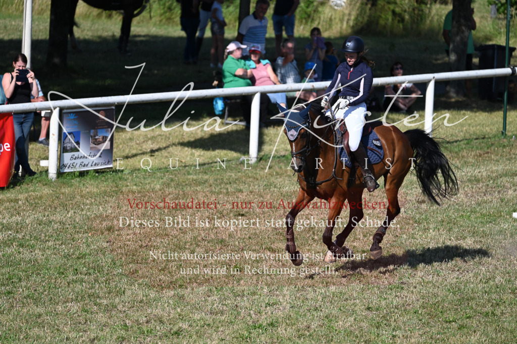 DSC_2449 | Pferde- und Turnierfotografie in Westsachsen. Pferdeportraits, Auftragszeichnungen und intuitive Kunst.