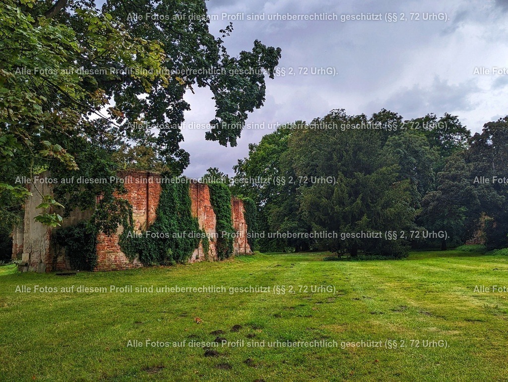 PXL_20230729_102357239-01 | krollfotografie - Realisiert mit Pictrs.com