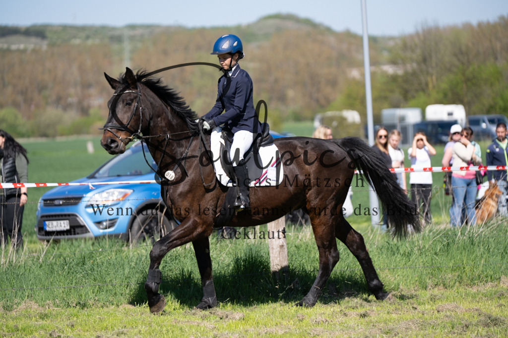 A7V01431 | Pferdefotograf