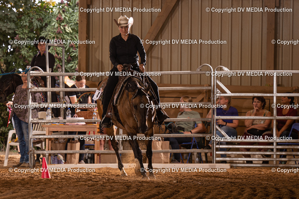 NID00932 | dv-media-shop - Realisiert mit Pictrs.com