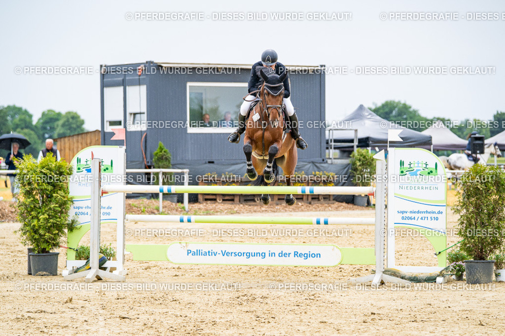 DSC07053 | Pferdegrafie