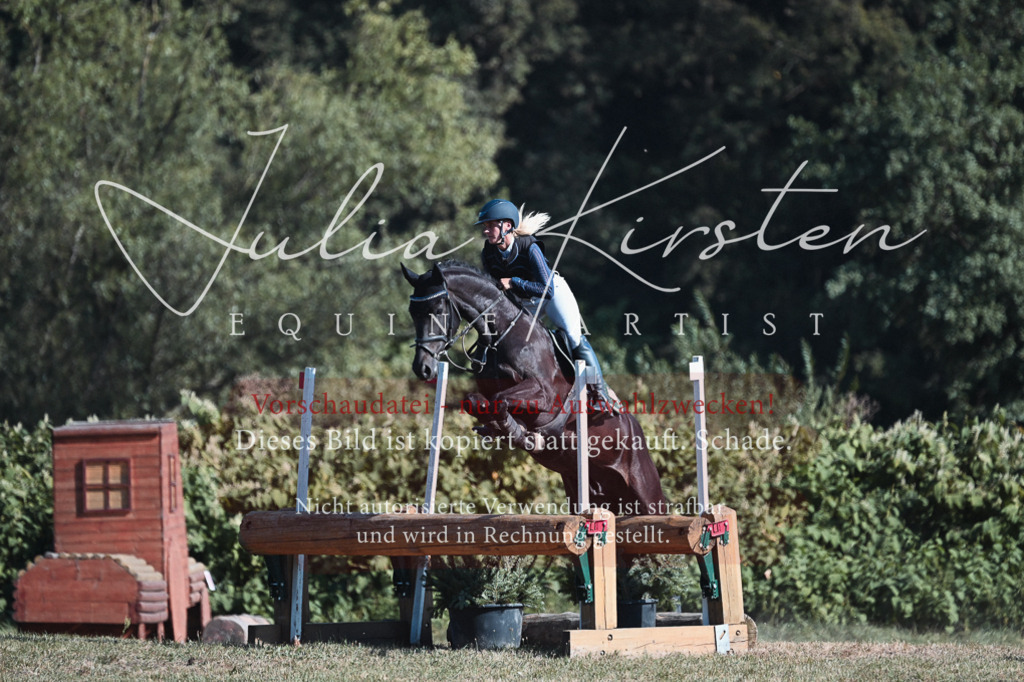 DSC_8802 | Pferde- und Turnierfotografie in Westsachsen. Pferdeportraits, Auftragszeichnungen und intuitive Kunst.