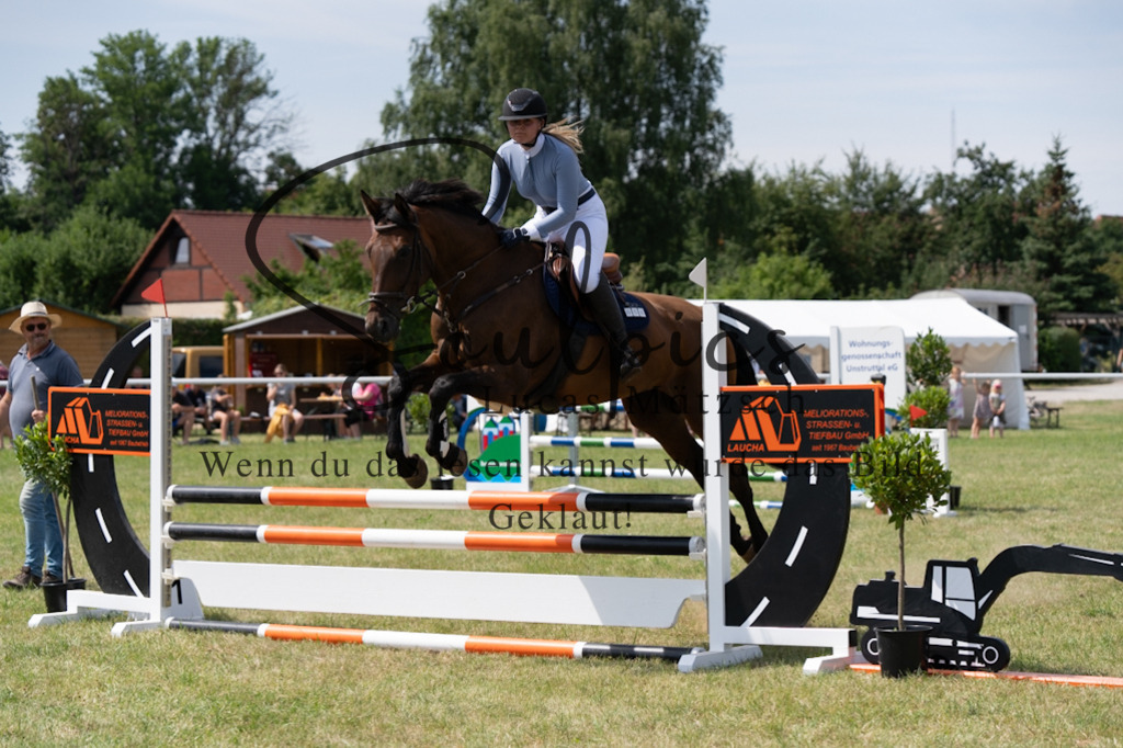 A7V01800 | Pferdefotograf