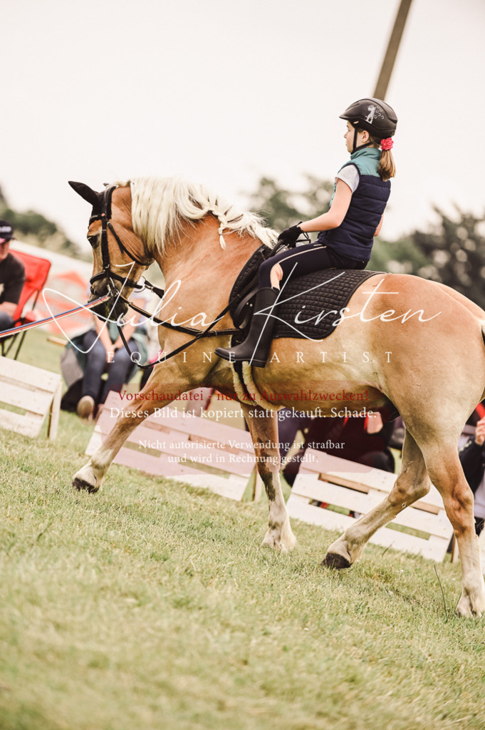 DSC_5311 | Pferde- und Turnierfotografie in Westsachsen. Pferdeportraits, Auftragszeichnungen und intuitive Kunst.