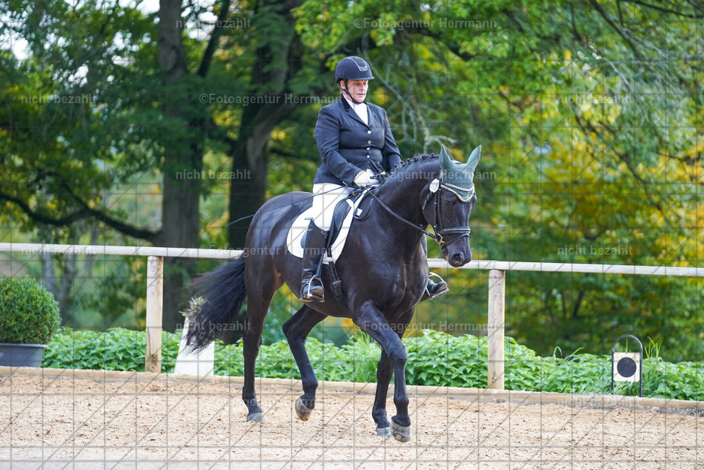 20221008-FAH00859 | Diessen am Ammersee, 2022, Dressur- und Springturnier, Reitsportbilder, Turnierfotografen Bayern, Pferdefotografen, Fotoagentur Herrmann, Turnierbilder