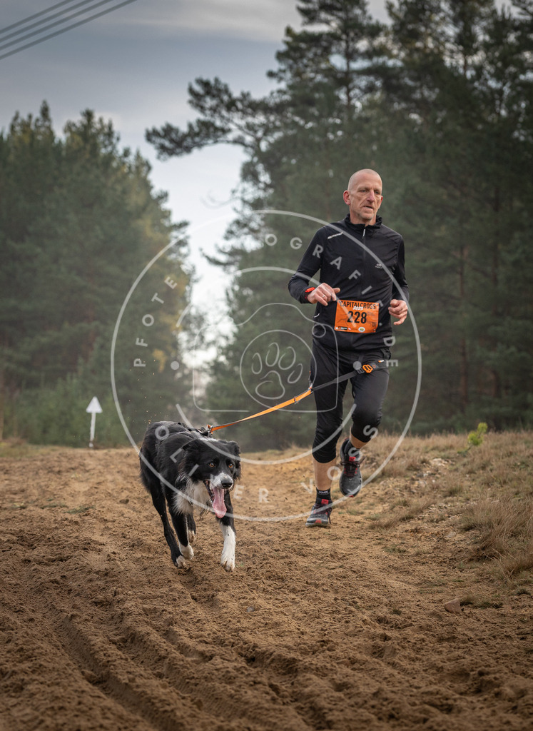 Pfotenfotografie_DV3A5458 | Hundefotografie, Tierfotograf, Pfotenfotografie, Fotoshooting Hund, Hunde Portrait, Hundesport, Hundeportraits, Heideshooting, Hunde, Sportfotograf, Hundefotograf, Turnierhundsport, THS,  - Realisiert mit Pictrs.com