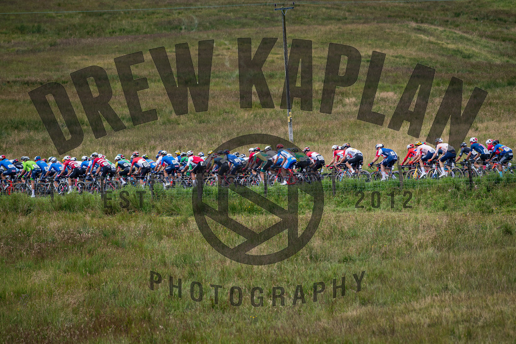 DKP-4796 | Drew Kaplan Photography