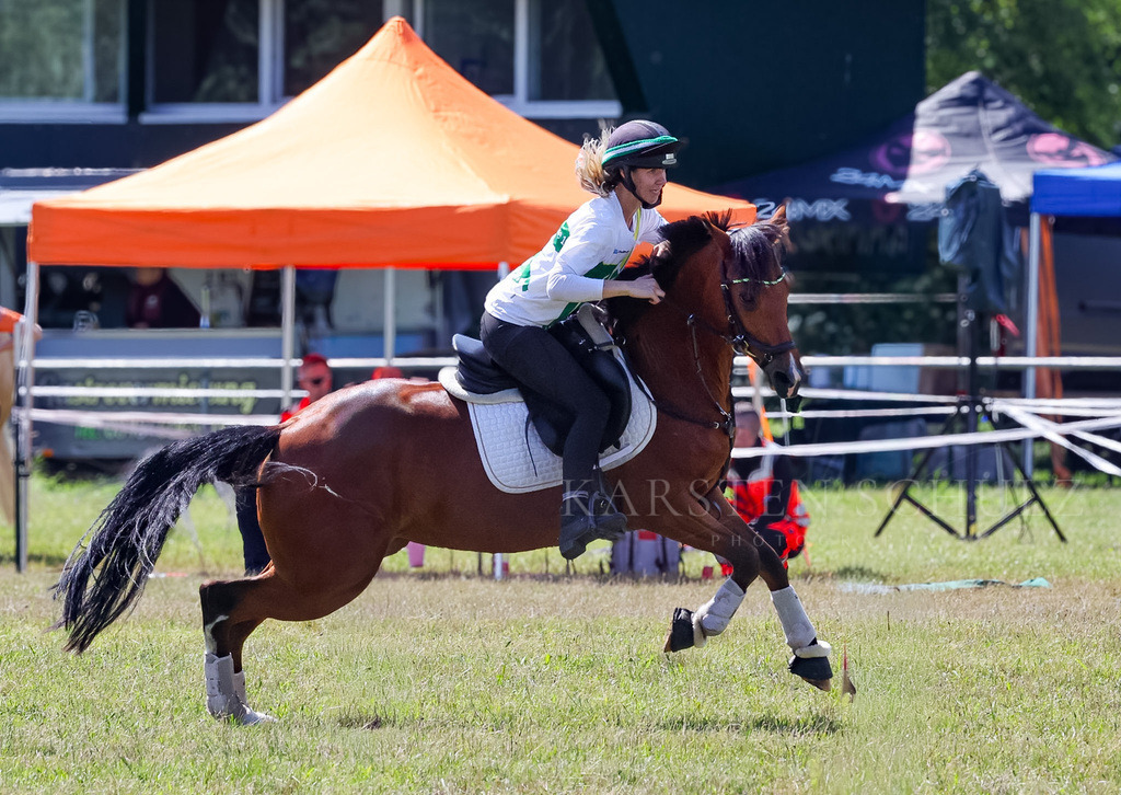 IMG_1592 | Reitsport Reiten