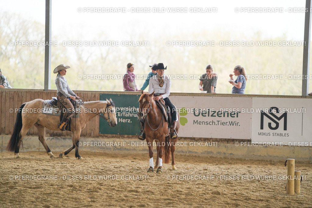 DSC06206 | Pferdegrafie