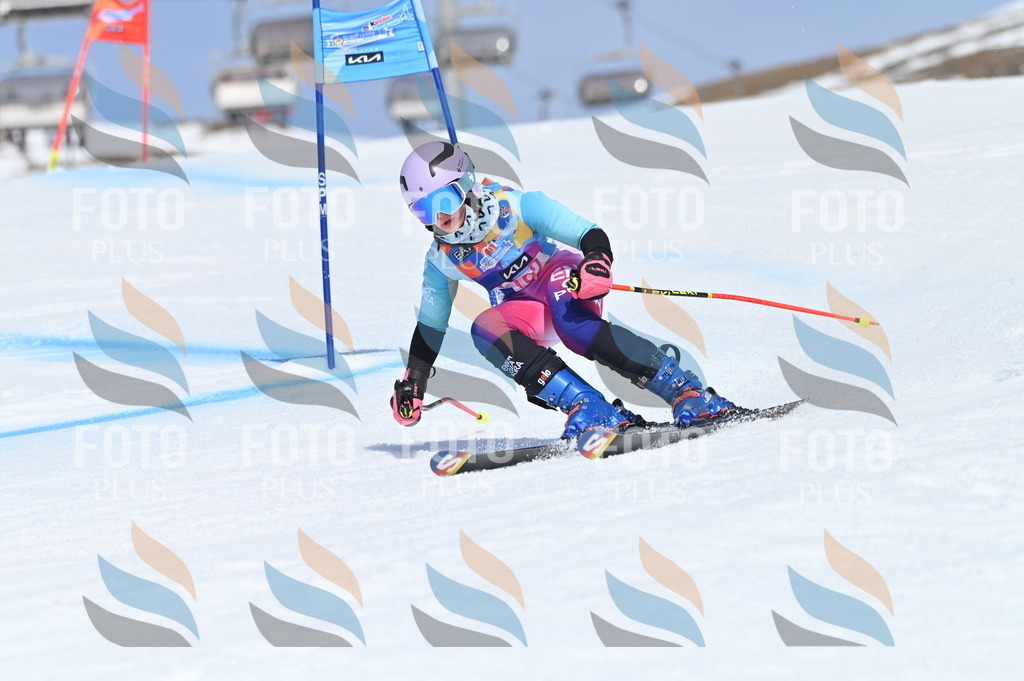 BGV_0657 | holidayphoto