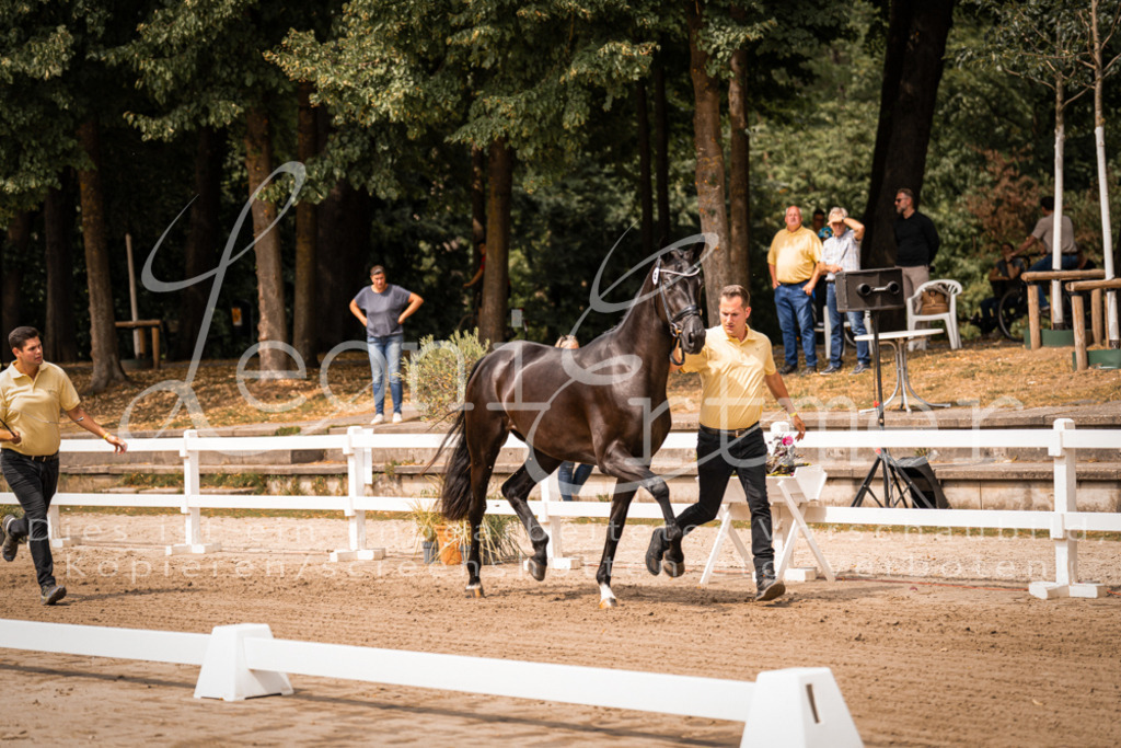 4.Fr00130 | Leoni Ertmer Photography - Realisiert mit Pictrs.com