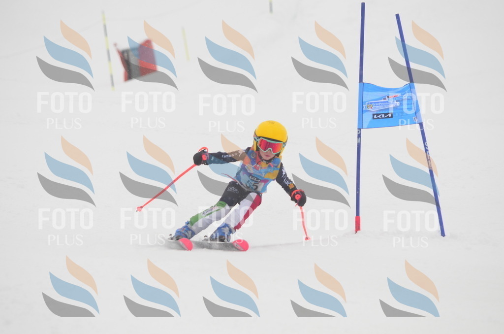 C0990 | holidayphoto