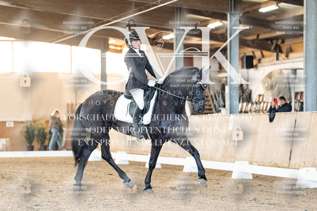 CK906495 | Turnierfotografie Pferdefotografie Trier Rheinland-Pfalz Pferdesport Reitsport Tierfotografie Sportfotografie Pferdevideo Pferdevideografie Equestrianvideography equestrianphotography  - Realisiert mit Pictrs.com
