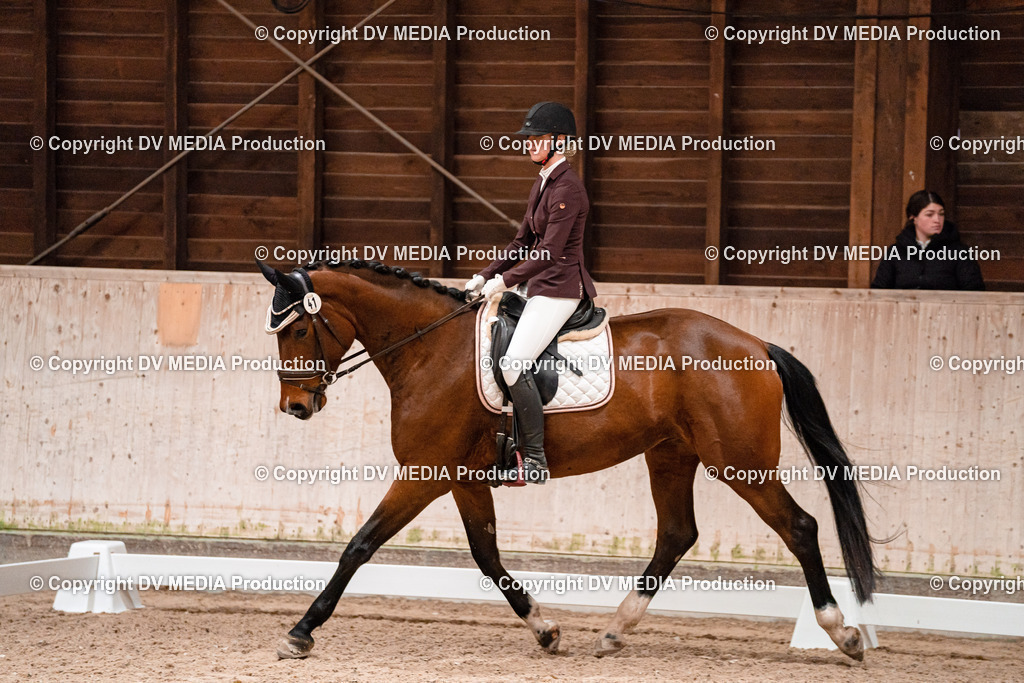 Dressur Tag 3-092 | dv-media-shop - Realisiert mit Pictrs.com