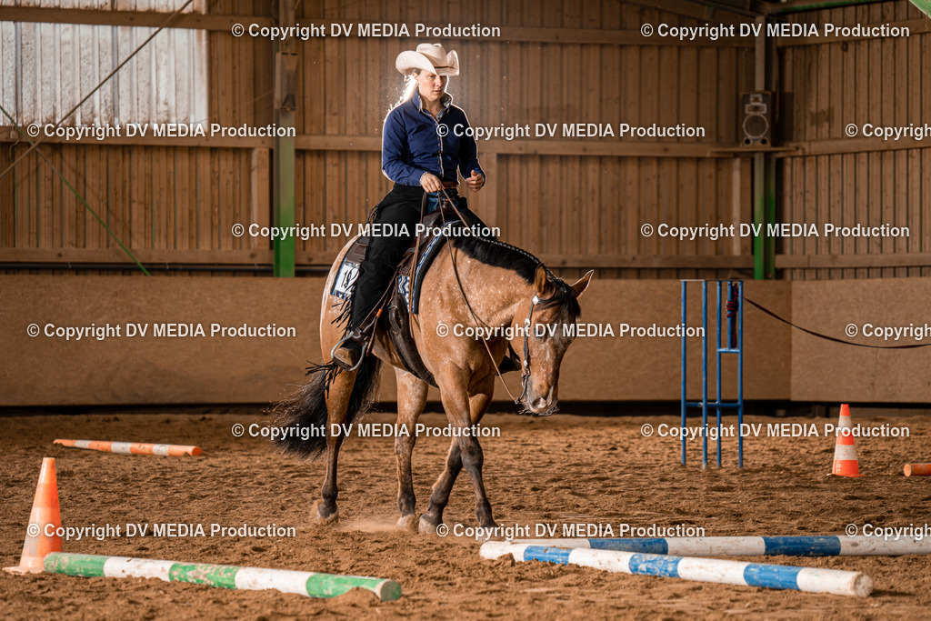 BA300413 | dv-media-shop - Realisiert mit Pictrs.com