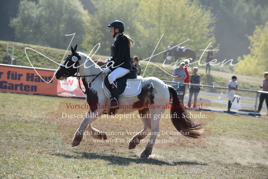 DSC_6089 | Pferde- und Turnierfotografie in Westsachsen. Pferdeportraits, Auftragszeichnungen und intuitive Kunst.