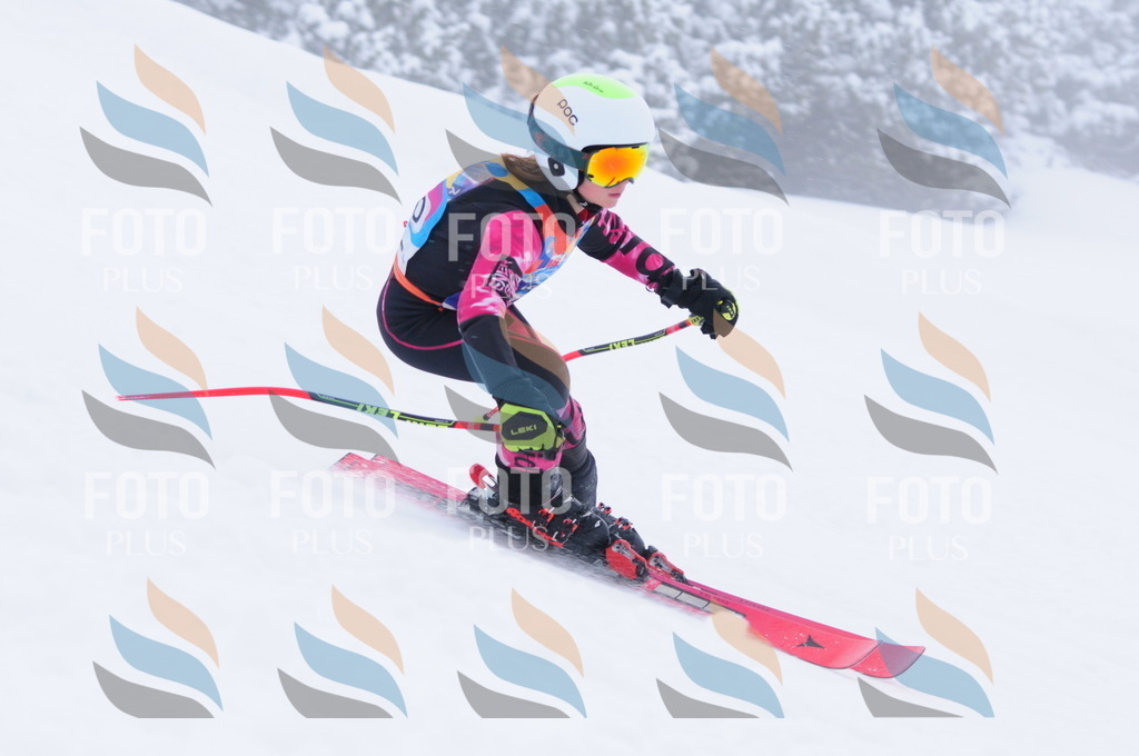 C2522 | holidayphoto